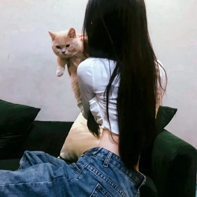 羊与钢之森